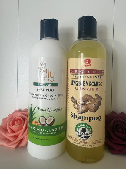 Aloe and Coconut Shampoo with Free Ginger and Rosemary Shampoo!